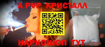 jwh Кингисепп