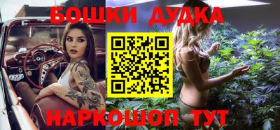 jwh Кингисепп