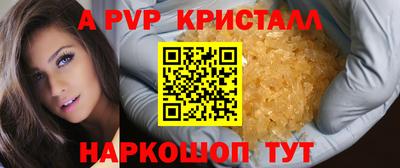 jwh Кингисепп