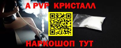 jwh Кингисепп