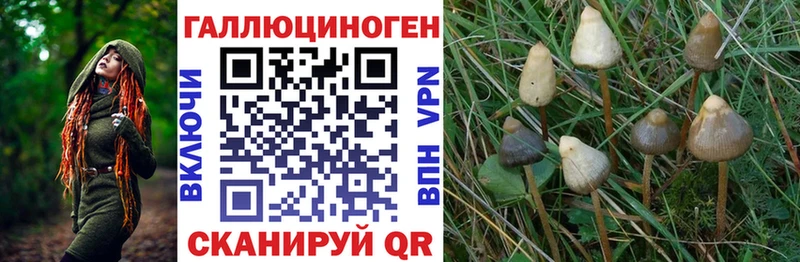 Галлюциногенные грибы Cubensis  KRAKEN как зайти  Курчатов 