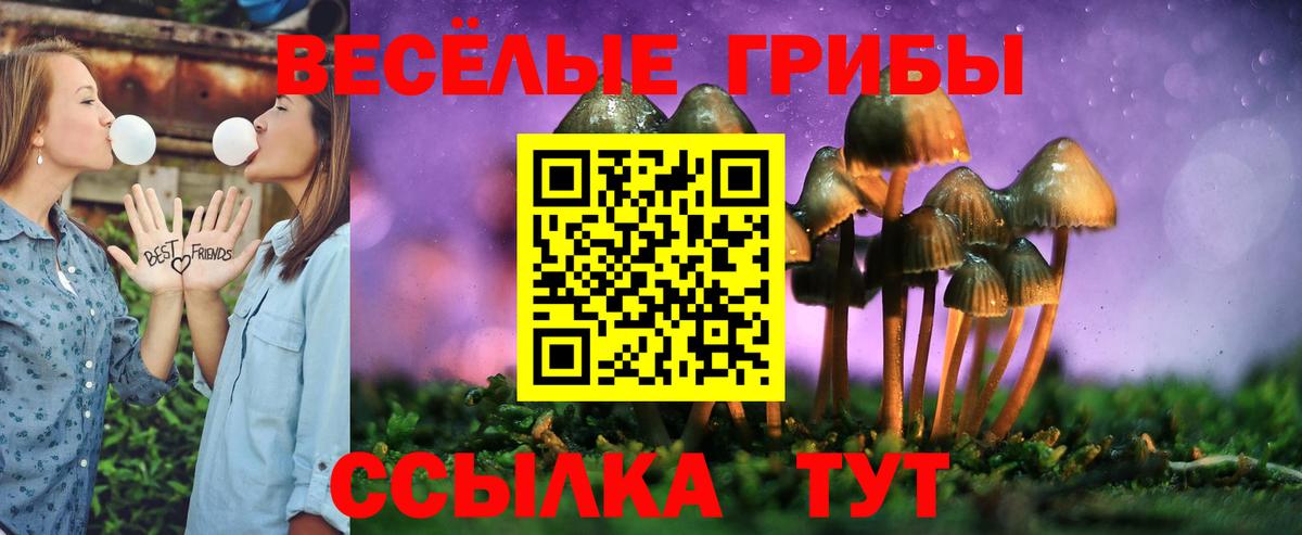 Псилоцибиновые грибы Magic Shrooms Курчатов
